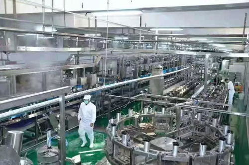 河南南街村豆腐生產線試運行 傳統產業煥新顏，新年運動經營雙輪驅動